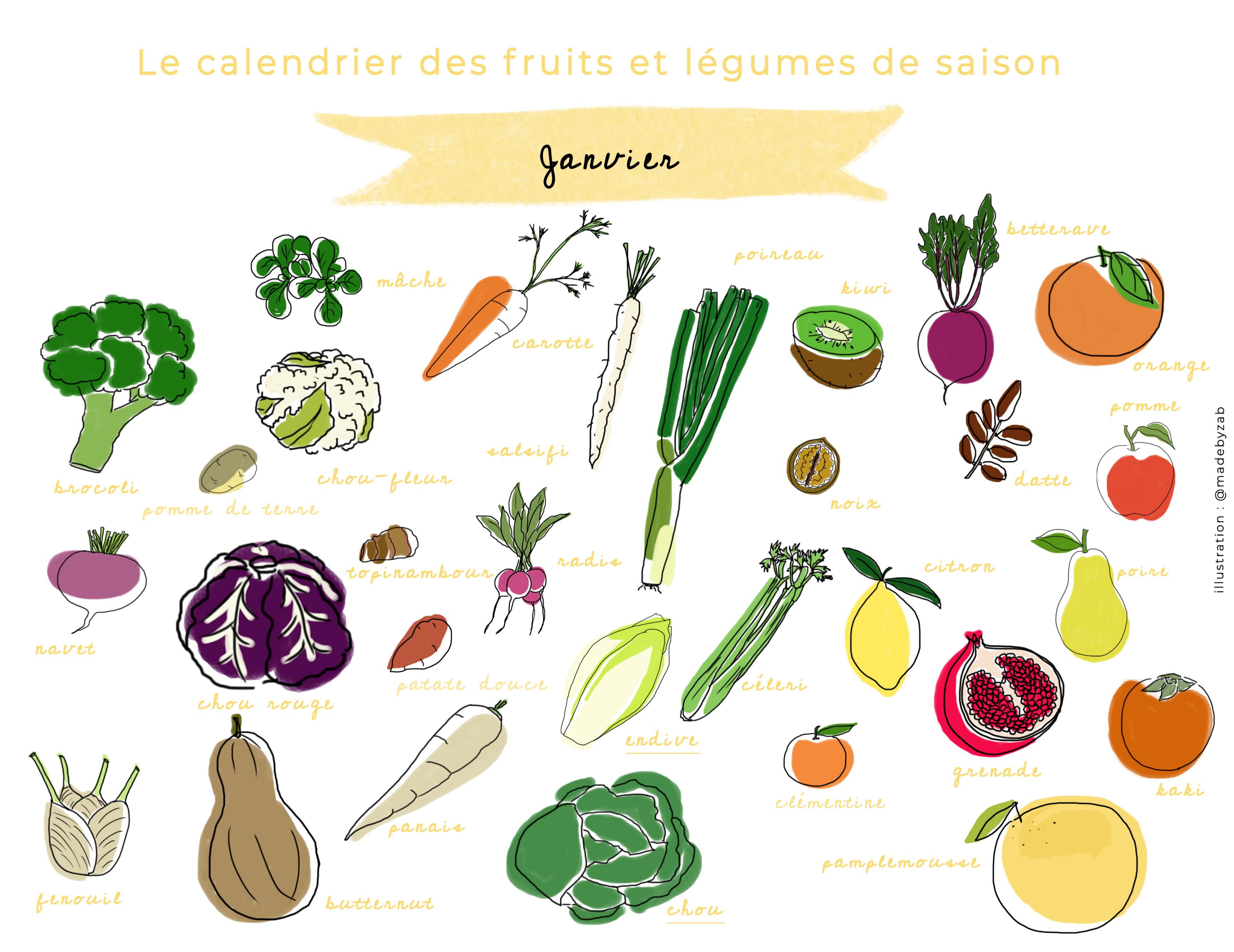 calendrier des fruits et légumes de janvier