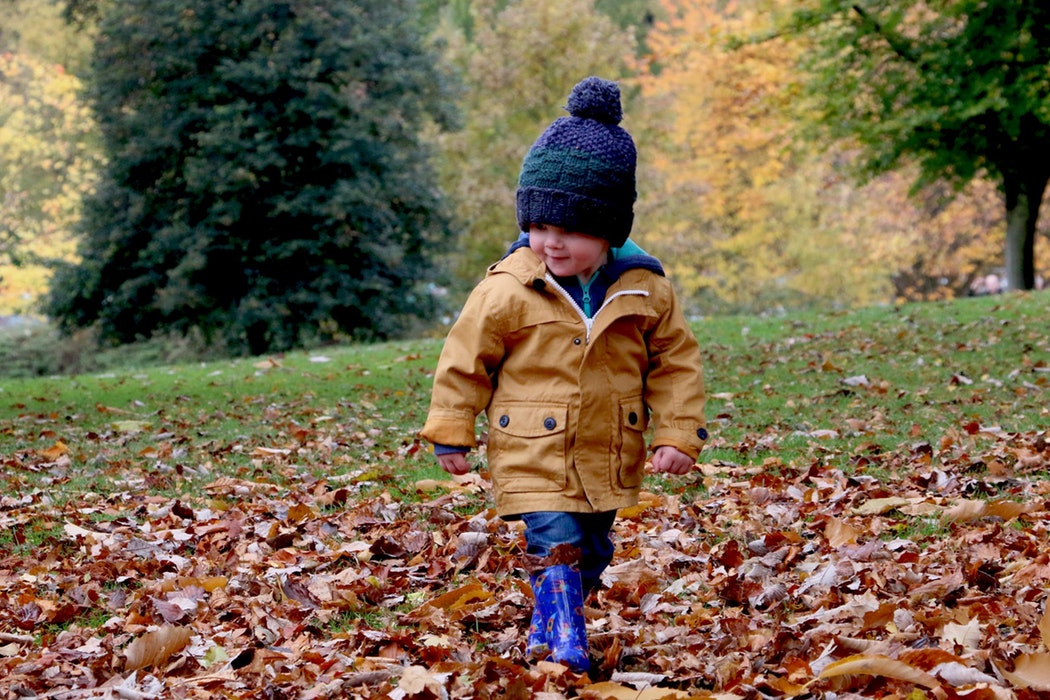 petit garçon qui marche dans les feuilles