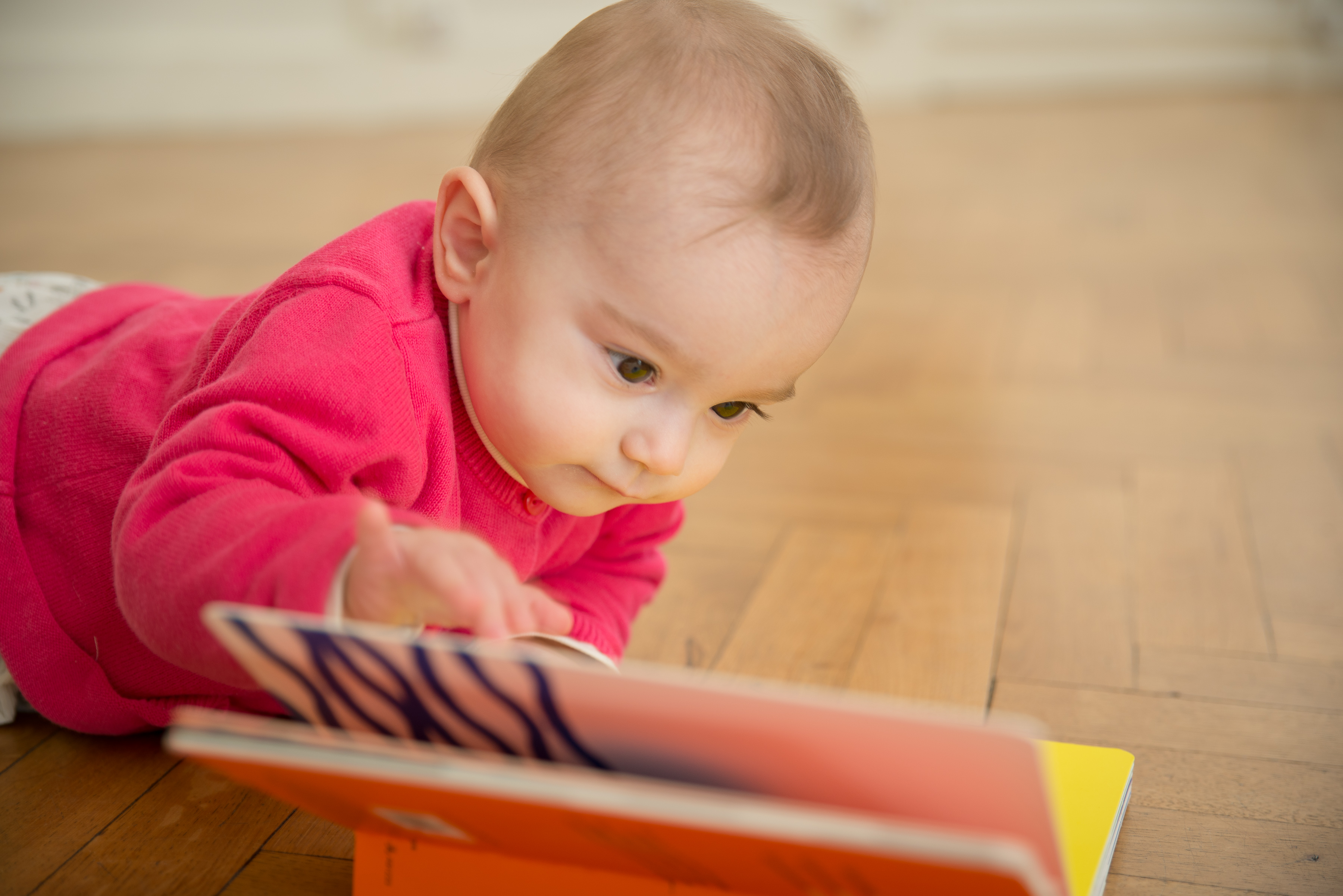 le livre et le tout petit