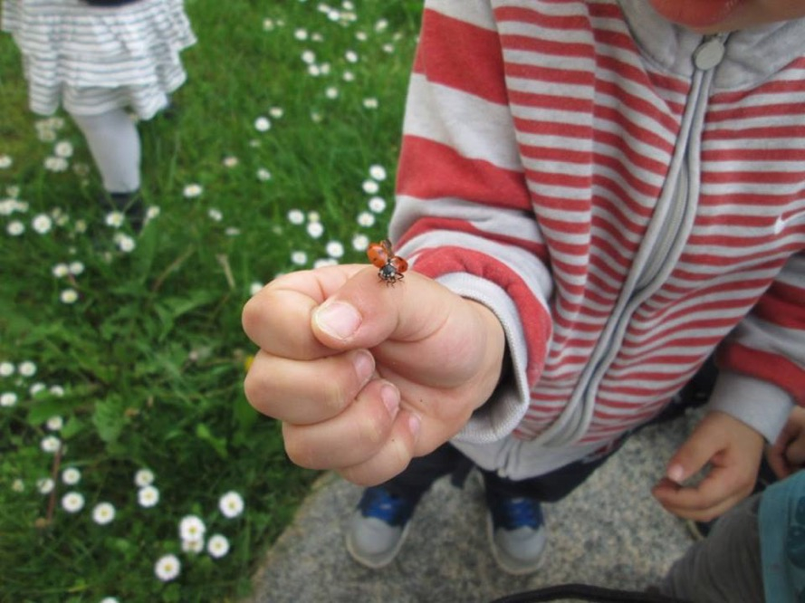 Enfant avec une coccinelle sur la main