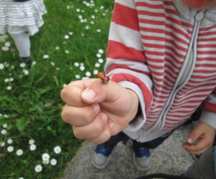 Enfant avec une coccinelle sur la main