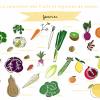 calendrier des fruits et légumes de janvier