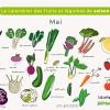 calendrier des fruits et légumes de mai
