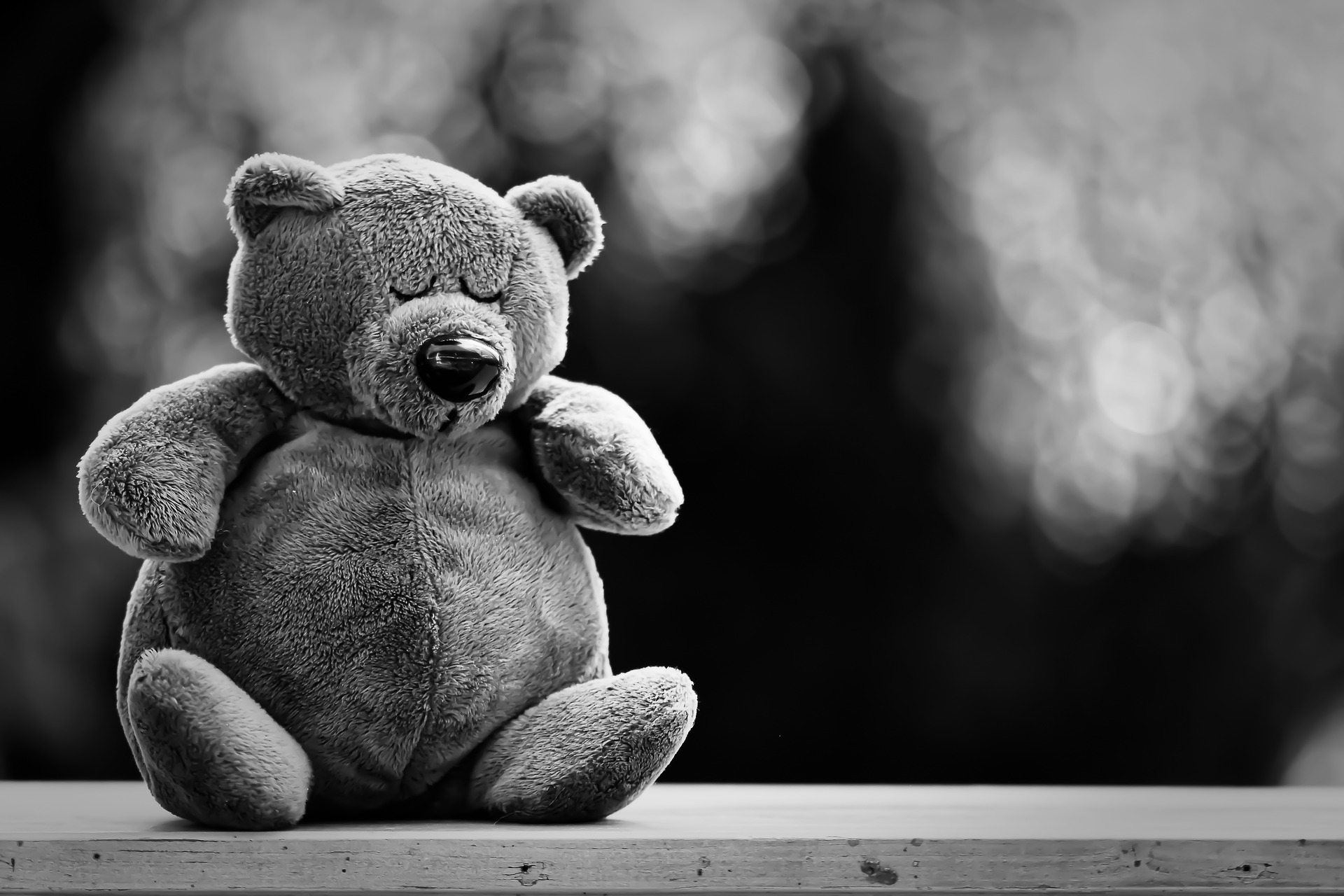ours en peluche - noir et blanc - pixabay