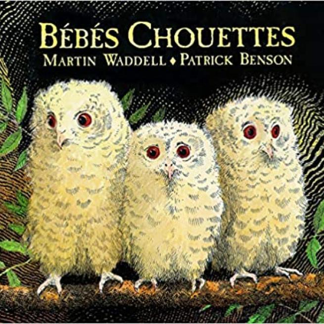 « Bébés chouette », de Martin Waddell et Patrick Benson, 1999, L’École des loisirs