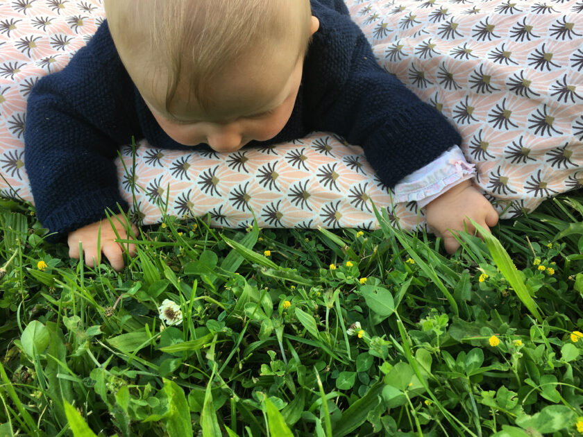 bébé herbe