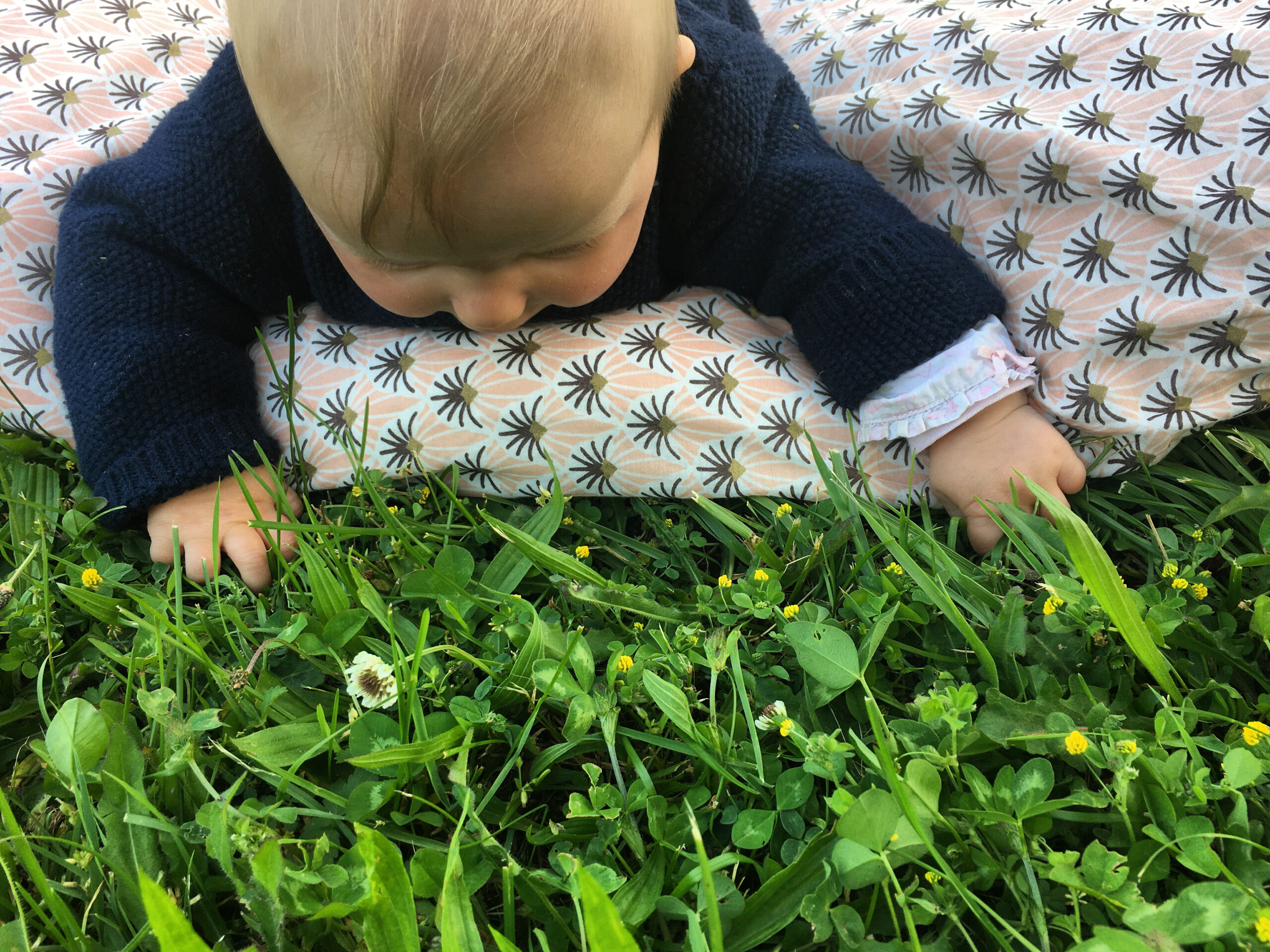 bébé herbe
